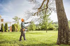 Why Choose Our Tree Removal Services in White Island Shores, MA?